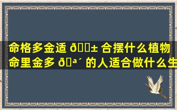 命格多金适 🐱 合摆什么植物（命里金多 🪴 的人适合做什么生意）